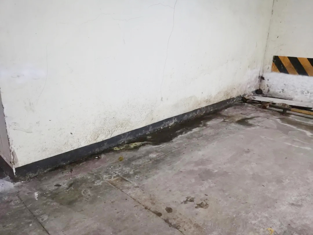 防水層泛白？別急著鏟！90%的人都不知道的真正原因在這里！